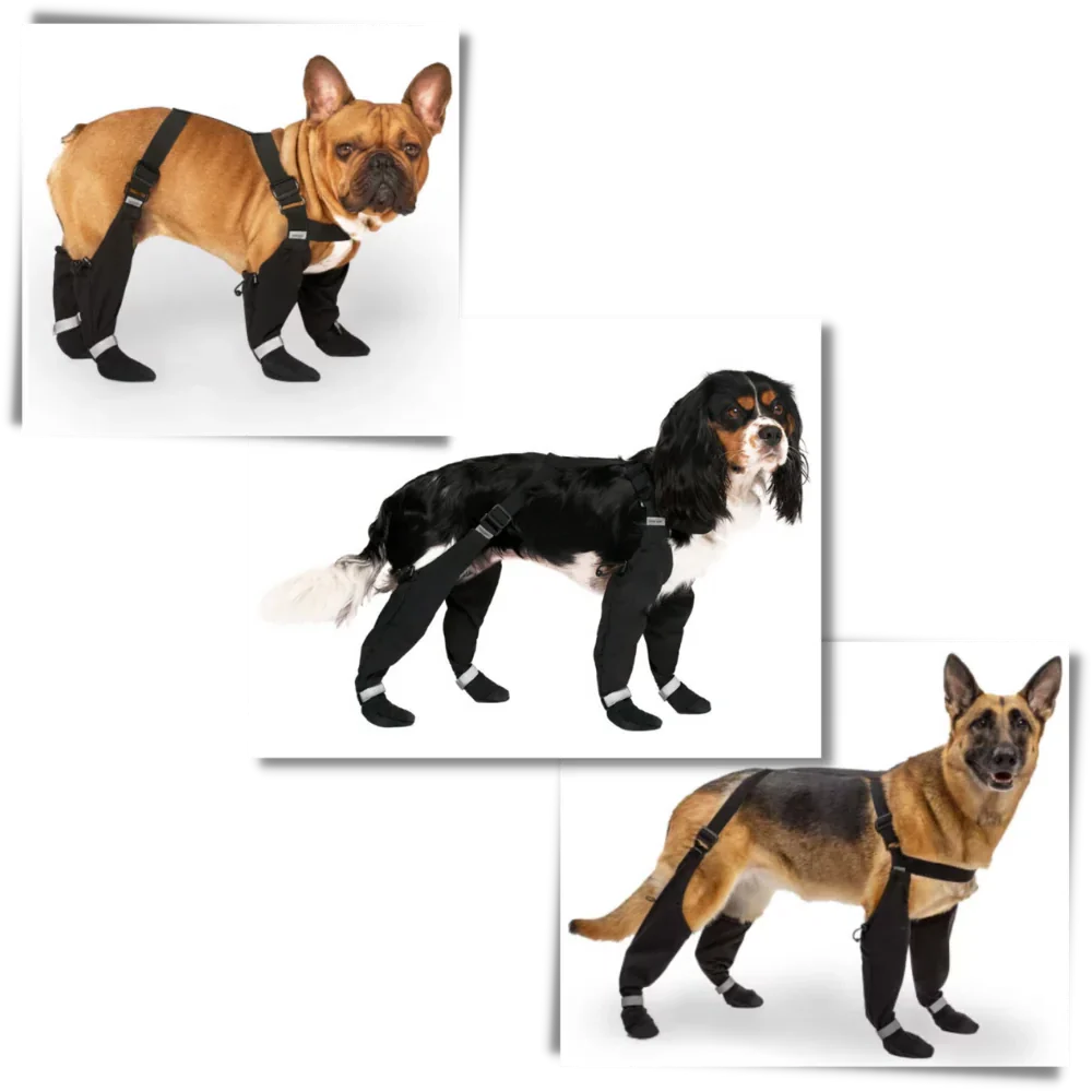 Waterproof Pet Suspension Boots