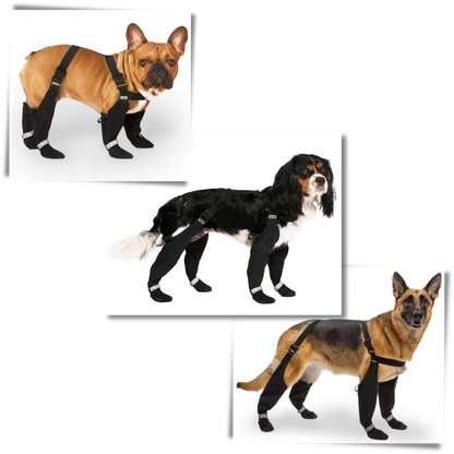 Waterproof Pet Suspension Boots