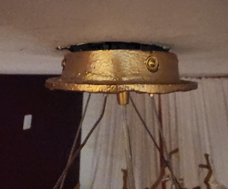 Unique Nature Inspired Hanging Lamp
