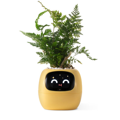 Smart Watering Indoor Planter Pot