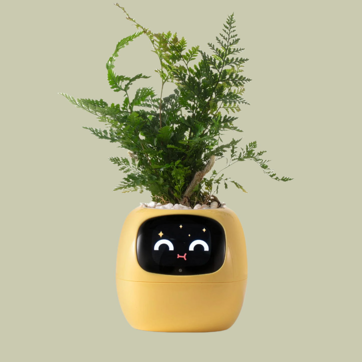 Smart Watering Indoor Planter Pot