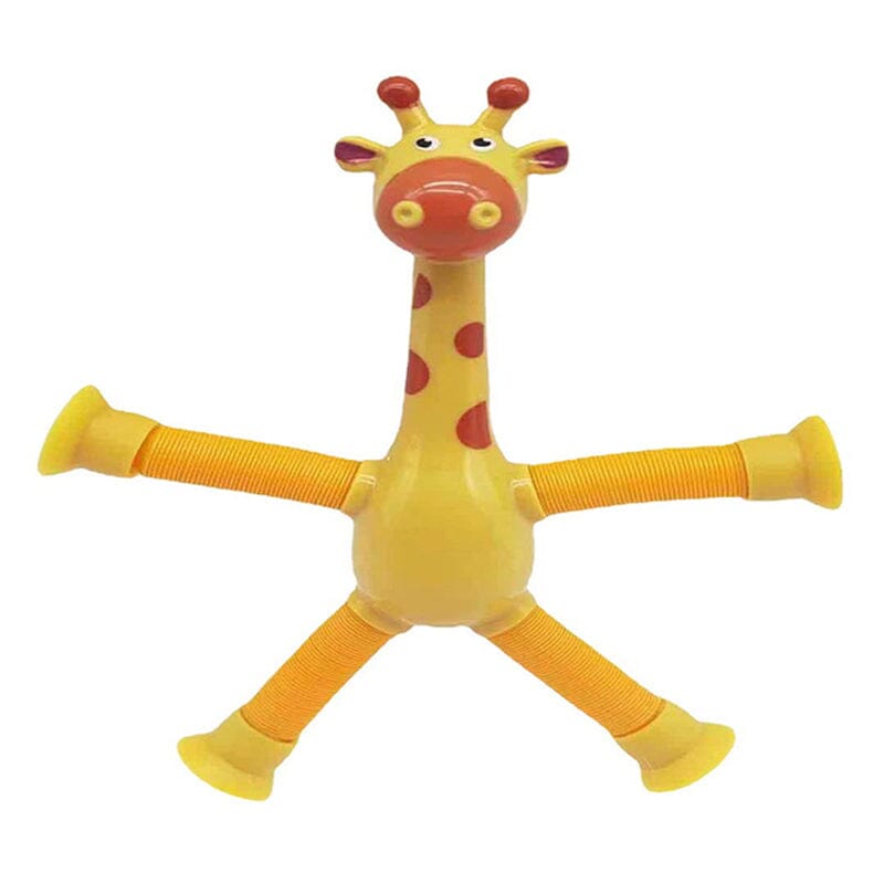 Fun Interactive Pet Toy