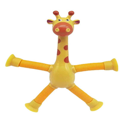 Fun Interactive Pet Toy