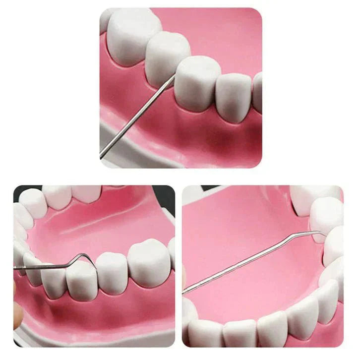 Eco Friendly Dental Care Kit with Durable Steel Tools