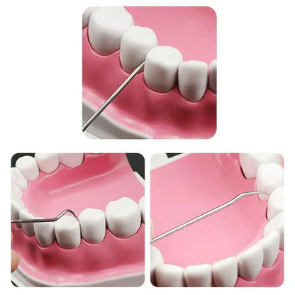 Eco Friendly Dental Care Kit with Durable Steel Tools