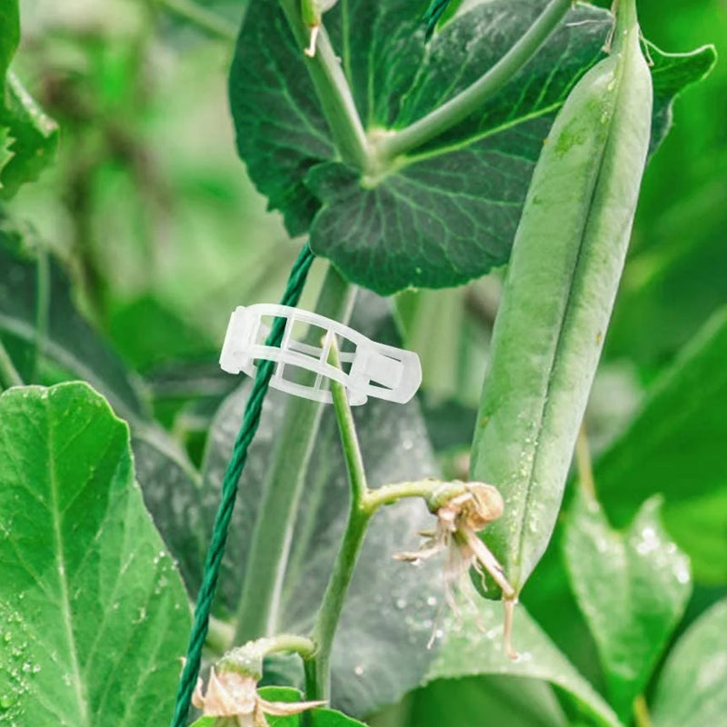 Easy Plant Holder Clip