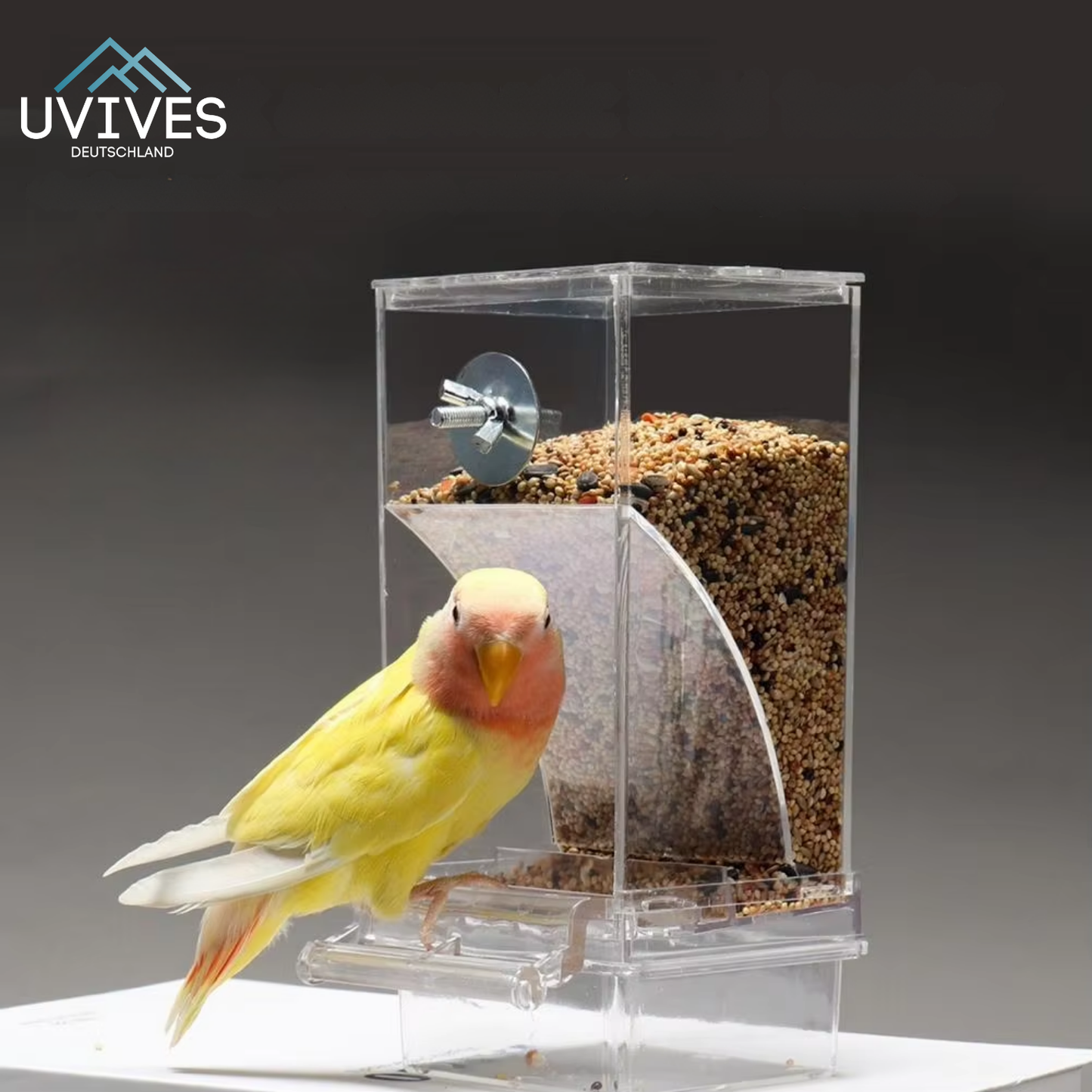 Easy Fill Bird Feeder