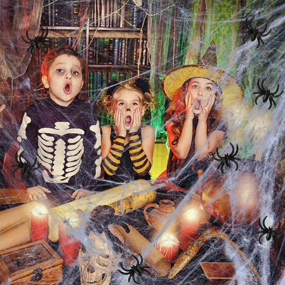 Creepy Halloween Spider Web Decor