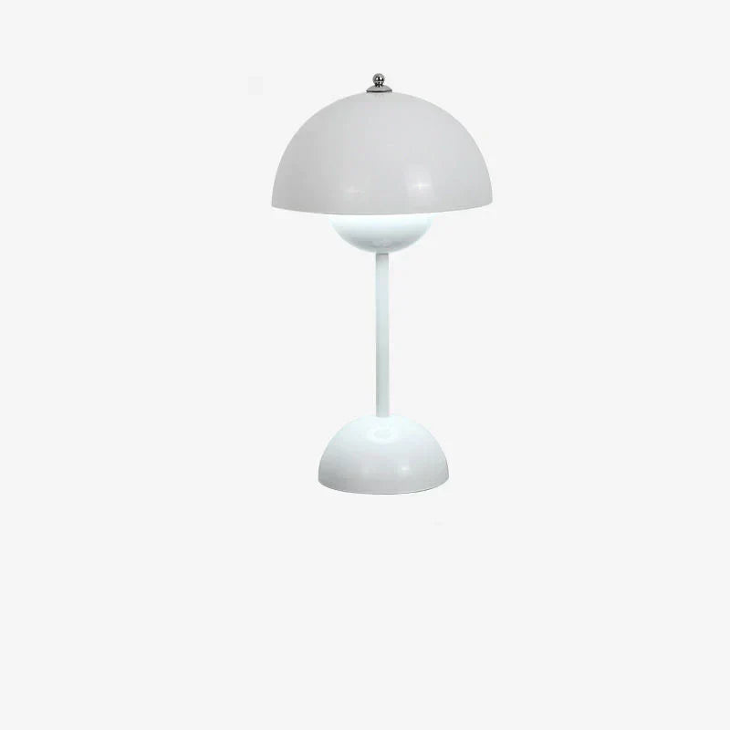Contemporary Metal Desk LED Lamp