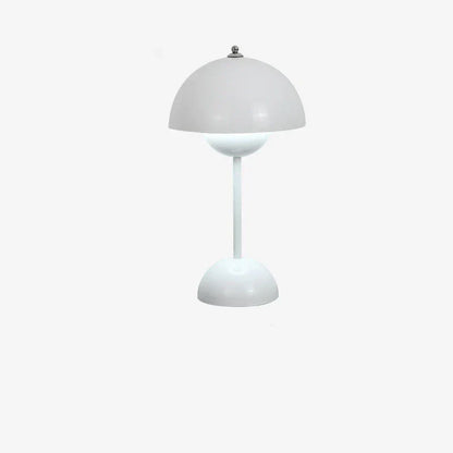 Contemporary Metal Desk LED Lamp