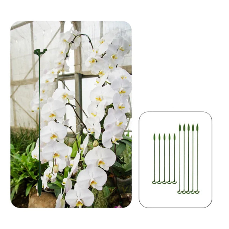 Garden Plant Sturdy Support Sticks (10 Pack)