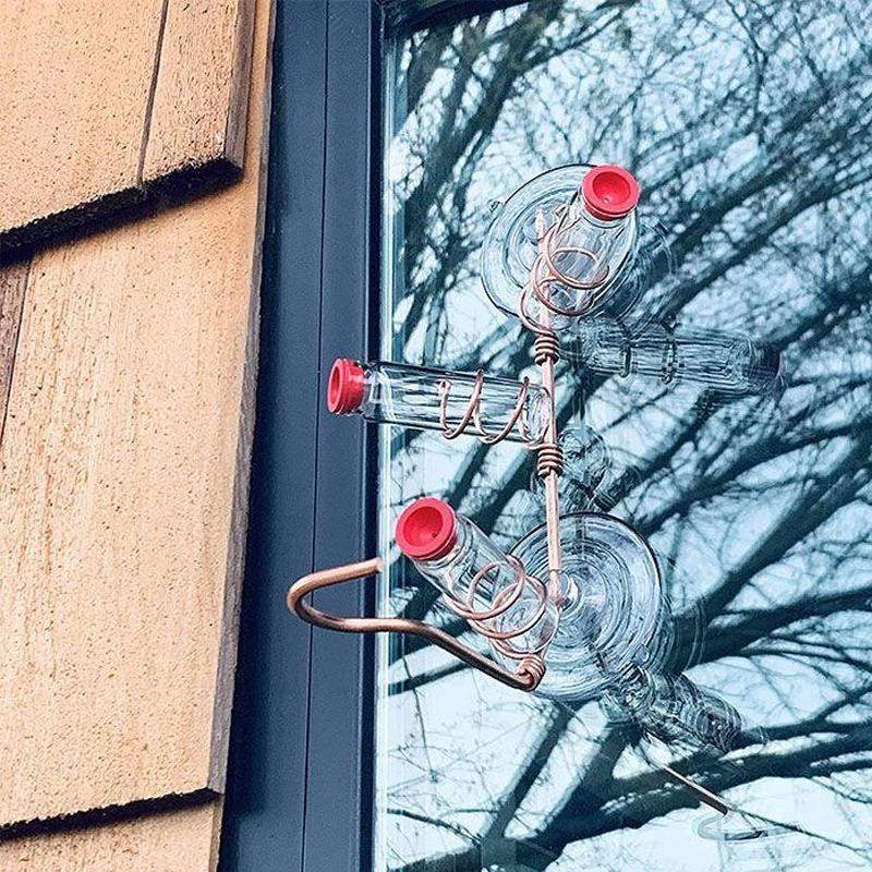 Bird Watching Window Feeder