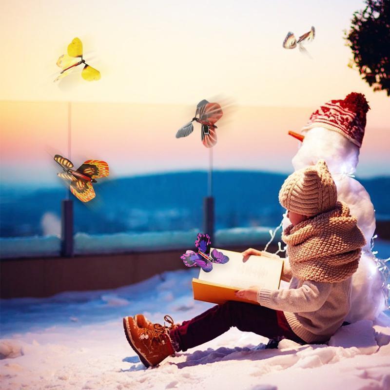 Colorful Winged Butterfly Decoration