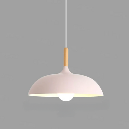 Elegant Modern Pendant Light Dining Room
