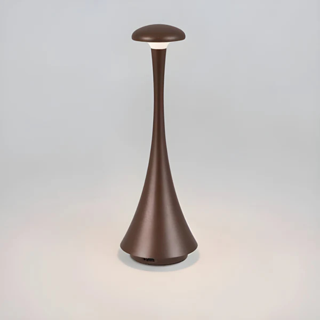 Bright Portable Desk Light