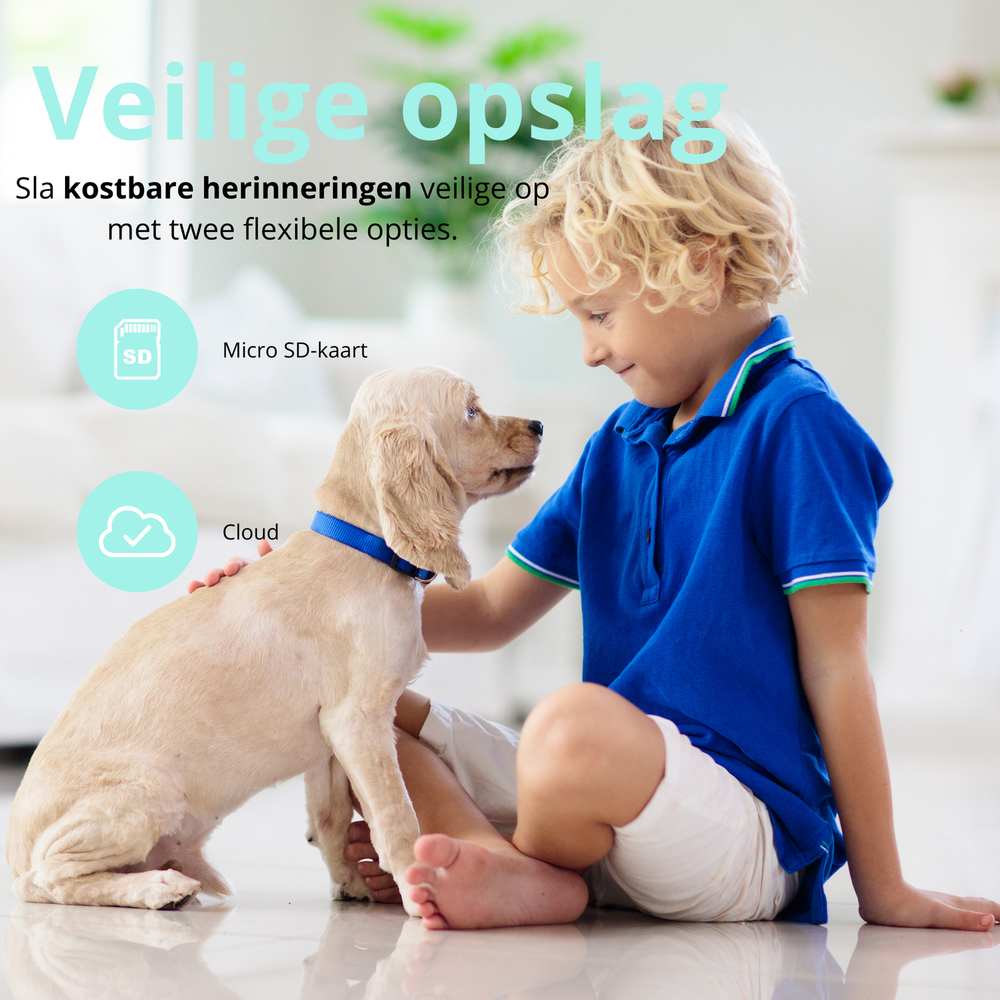 Wi-Fi Pet Monitoring Smart Camera