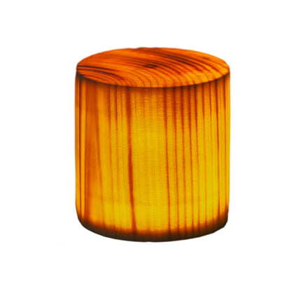 Modern Dimmable LED Table Lamp