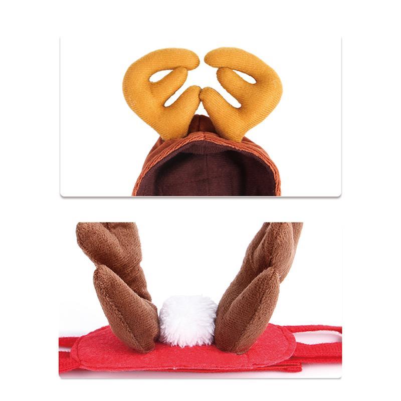 Fun Holiday Pet Costumes