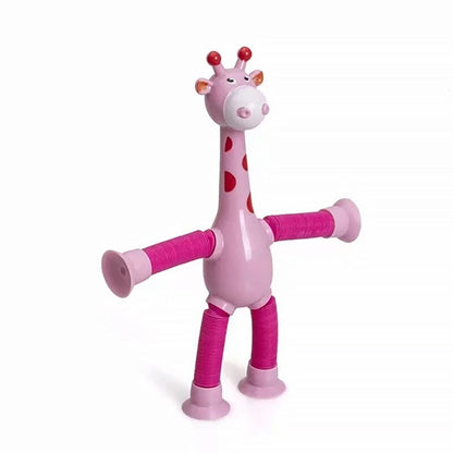 Fun Interactive Pet Toy - Fesara