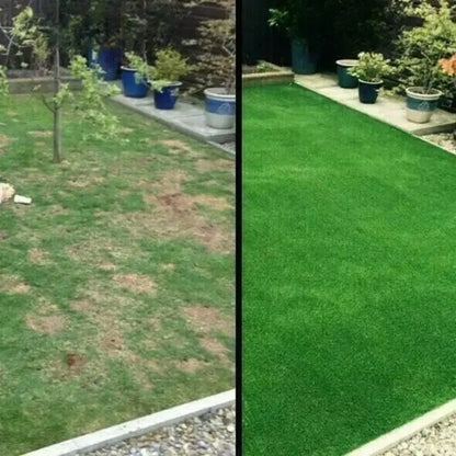 Natural Lawn Booster for Greener Gardens