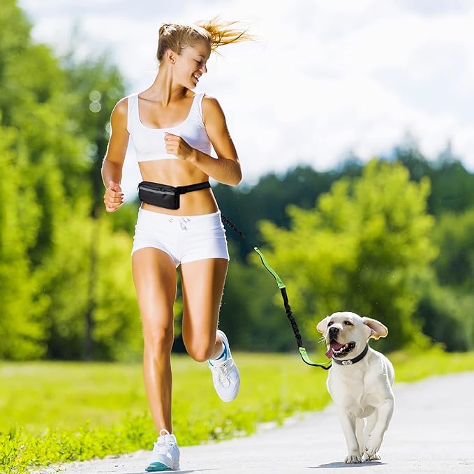 Easy Walk Dog Harness