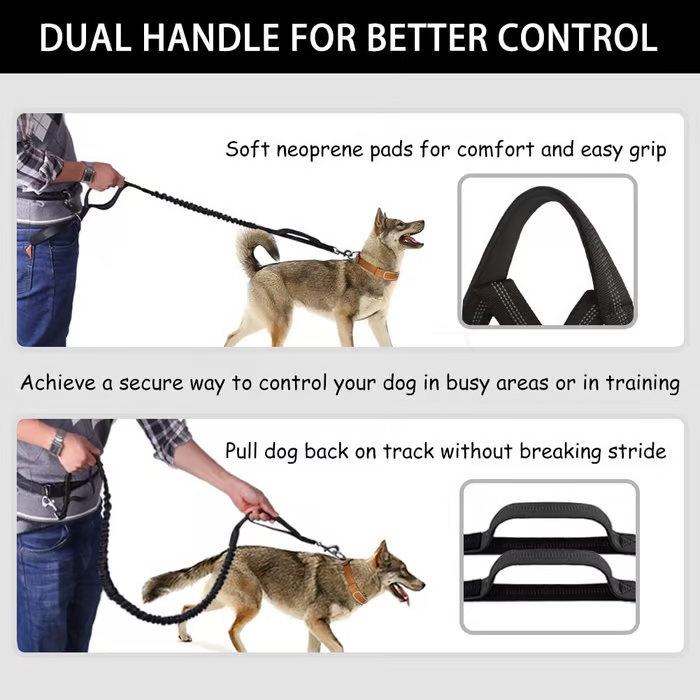Easy Walk Dog Harness