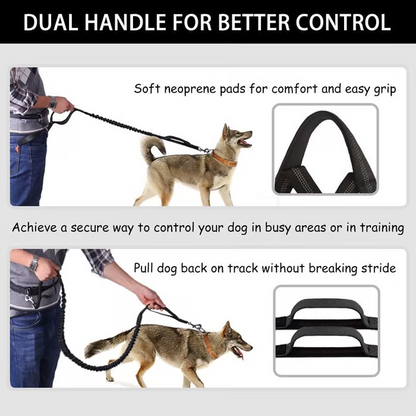 Easy Walk Dog Harness