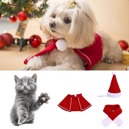 Fun Holiday Pet Costumes