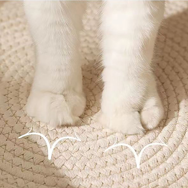 Calming Cat Bed for Relaxation