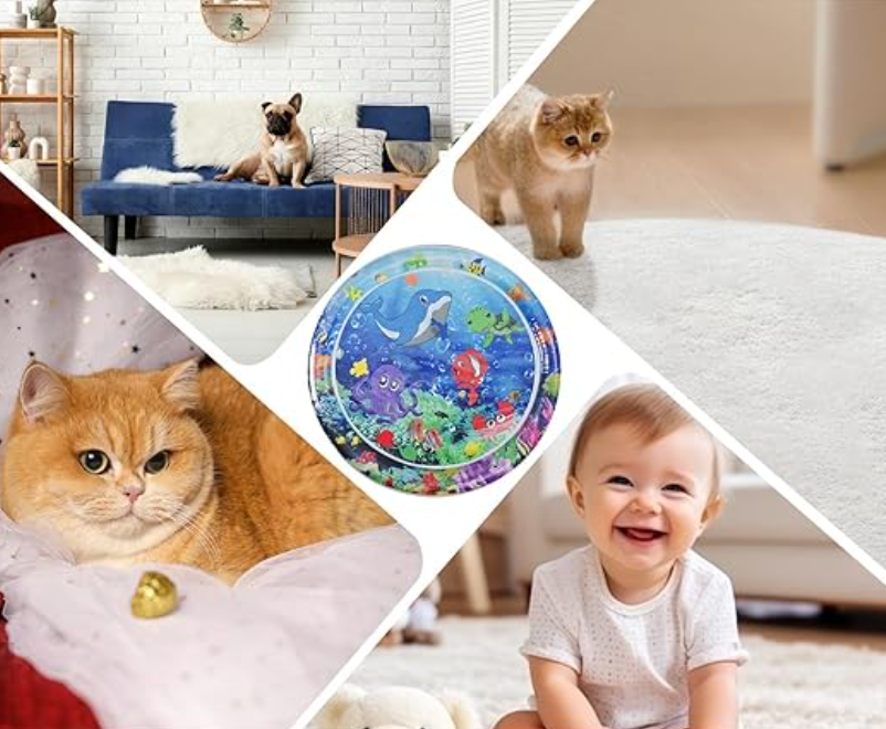 Fun Cat Interactive Toy