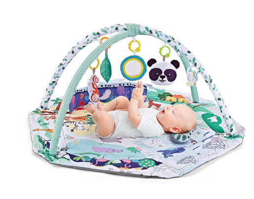Colorful Baby Play Gym Mat with Sensory Toys - Fesara