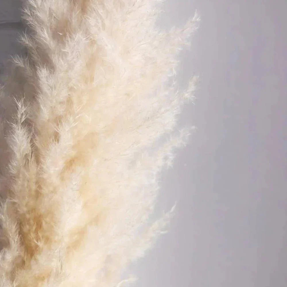 Natural Dried Pampas Grass Decor Bundle with Feathers
