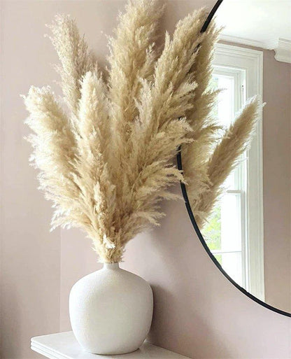 Natural Dried Pampas Grass Decor Bundle with Feathers