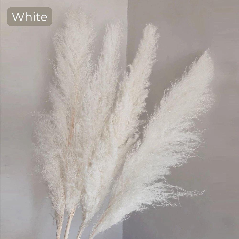 Natural Dried Pampas Grass Decor Bundle with Feathers