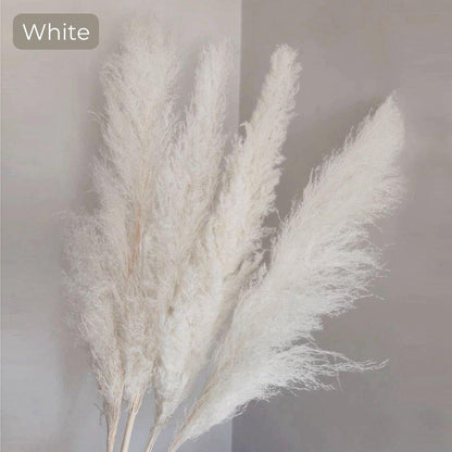 Natural Dried Pampas Grass Decor Bundle with Feathers