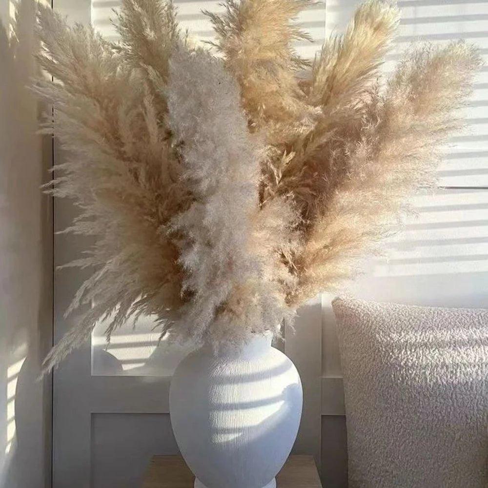 Natural Dried Pampas Grass Decor Bundle with Feathers - Fesara