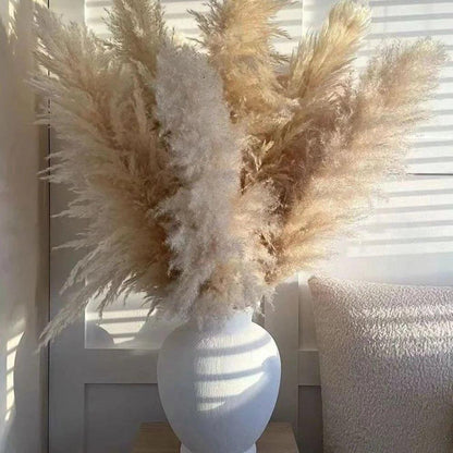 Natural Dried Pampas Grass Decor Bundle with Feathers - Fesara