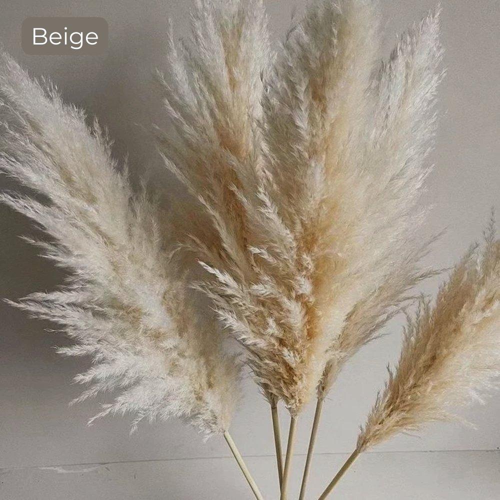 Natural Dried Pampas Grass Decor Bundle with Feathers
