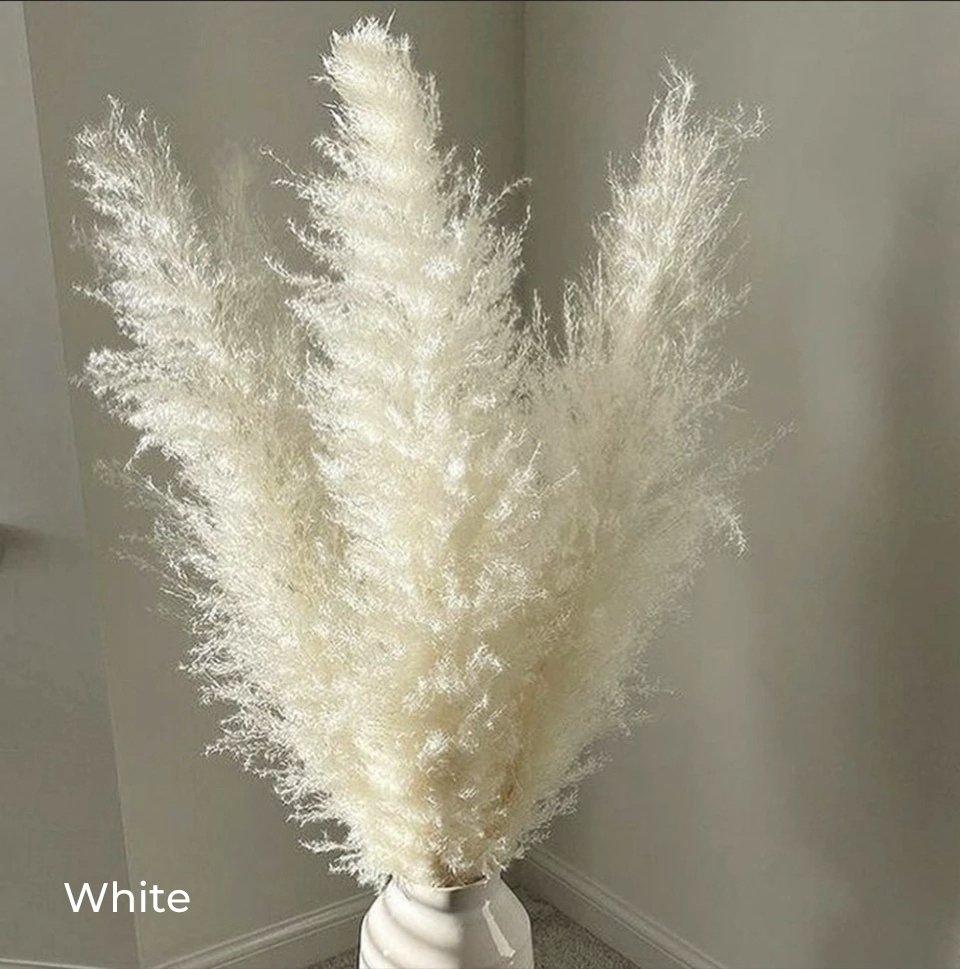 Natural Dried Pampas Grass Decor Bundle with Feathers