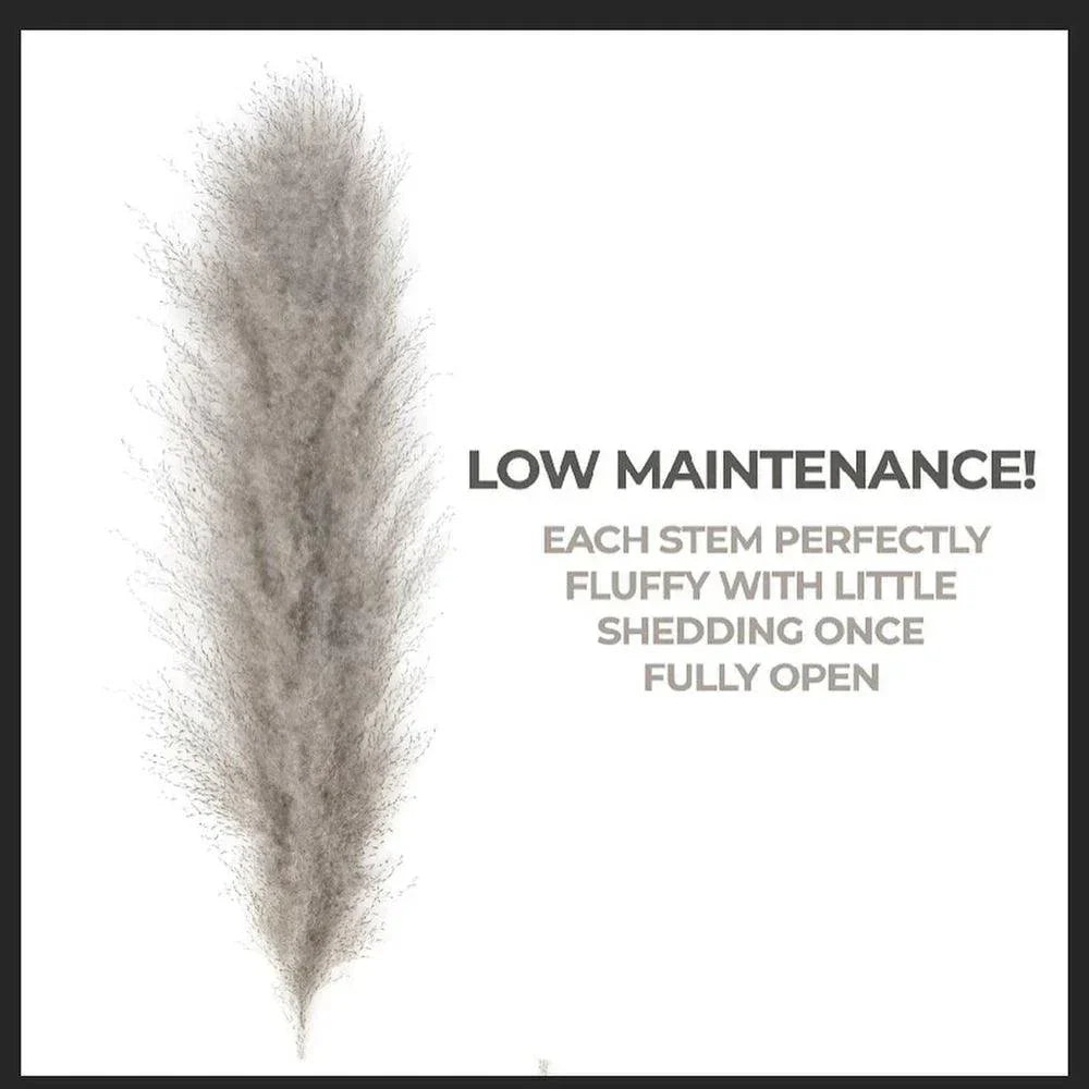 Natural Dried Pampas Grass Decor Bundle with Feathers