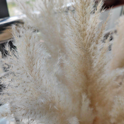 Natural Dried Pampas Grass Decor Bundle with Feathers