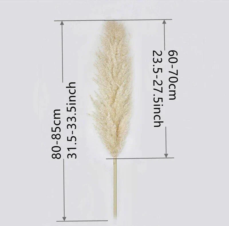 Natural Dried Pampas Grass Decor Bundle with Feathers