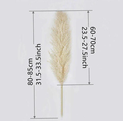 Natural Dried Pampas Grass Decor Bundle with Feathers