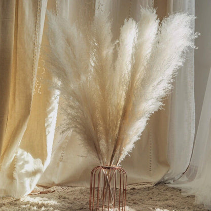Natural Dried Pampas Grass Decor Bundle with Feathers
