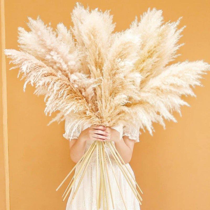 Natural Dried Pampas Grass Decor Bundle with Feathers