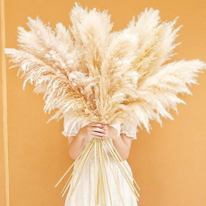 Natural Dried Pampas Grass Decor Bundle with Feathers