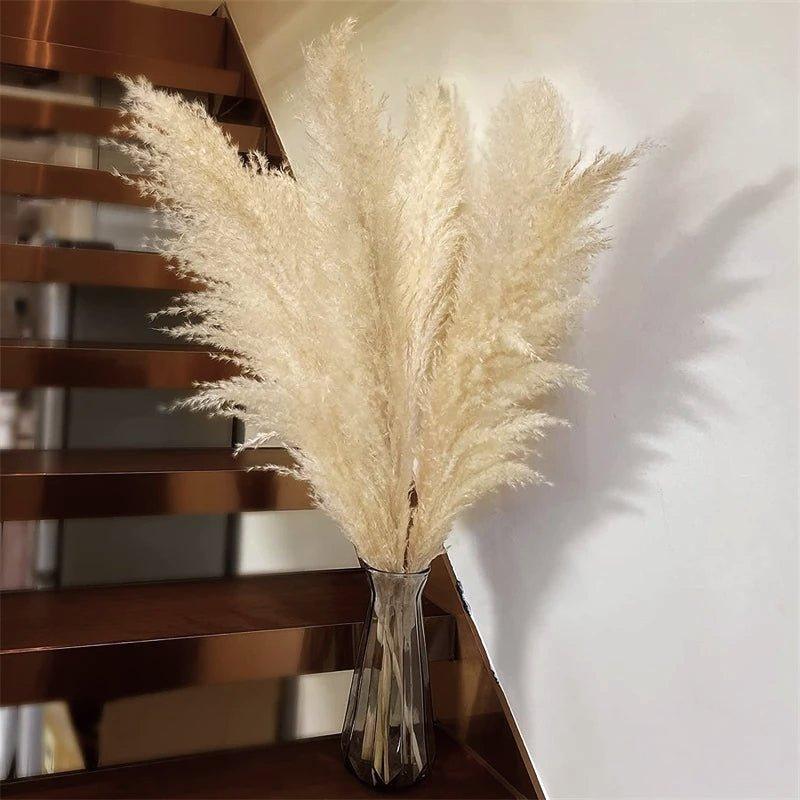 Natural Dried Pampas Grass Decor Bundle with Feathers