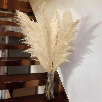 Natural Dried Pampas Grass Decor Bundle with Feathers