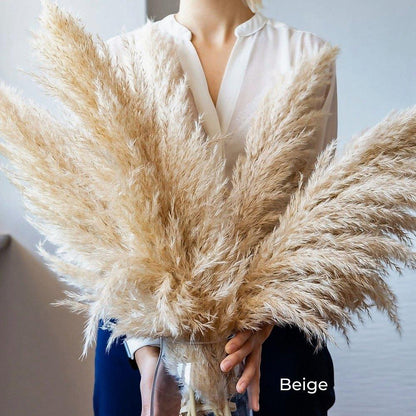 Natural Dried Pampas Grass Decor Bundle with Feathers