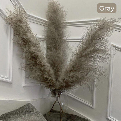 Natural Dried Pampas Grass Decor Bundle with Feathers